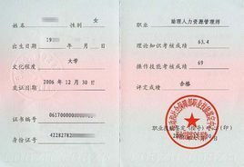 电子商务专业能考啥证