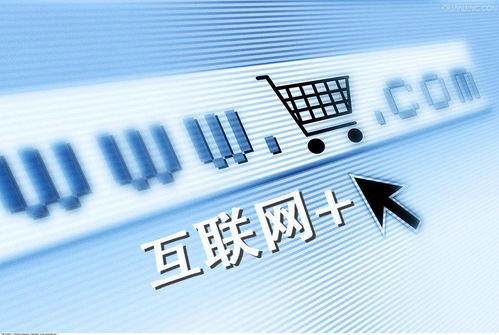 电子商务专业上岸公务员