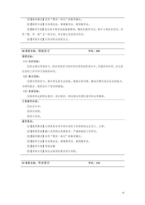 电子商务专业诊断报告书