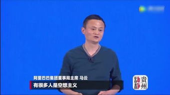 马云专业是电子商务吗