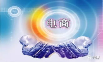 电子商务专业雪什么用