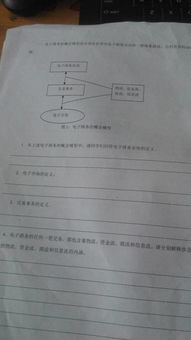 电子商务专业有分学历吗