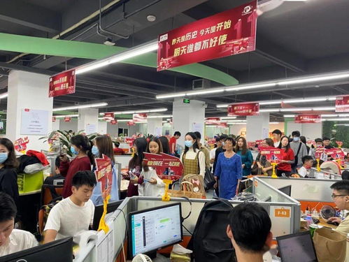 电子商务专业去摆摊可以吗